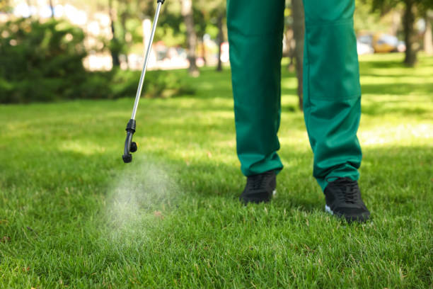 Best Cockroach Control Services  in Luna Pier, MI