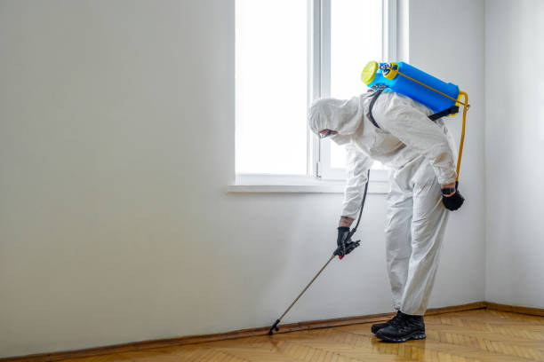 Best Insect Control  in Luna Pier, MI