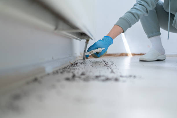 Best Best Pest Control Companies  in Luna Pier, MI